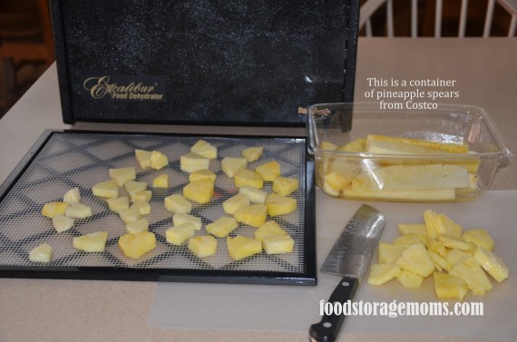 Dehydrated Pineapple