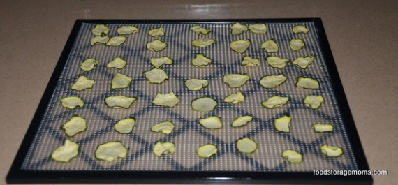 zucchini chips zucchini chips