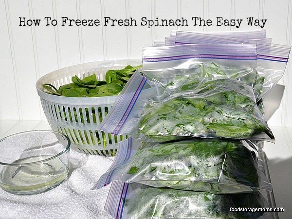 How To Freeze Fresh Spinach The Easy Way - Food Storage Moms