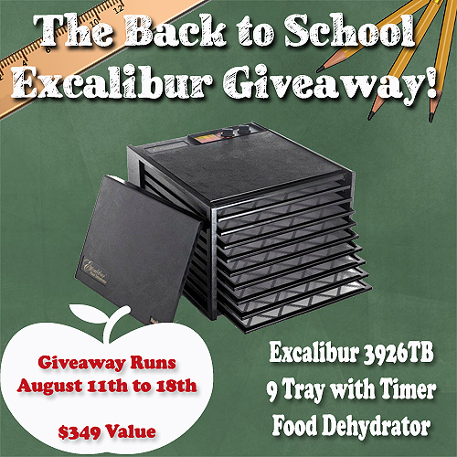 Back To School Excalibur Giveaway