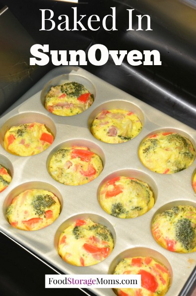 baked-in-sunoven