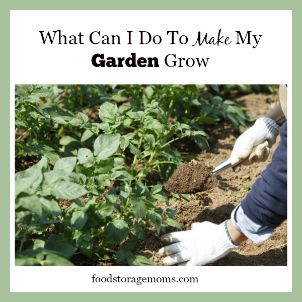 What Can I Do To Make My Garden Grow