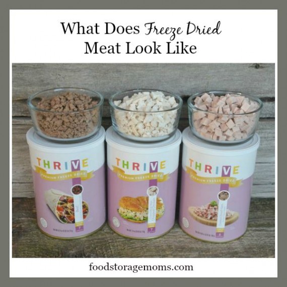 What Does Freeze Dried Meat Look LikeFood Storage Moms