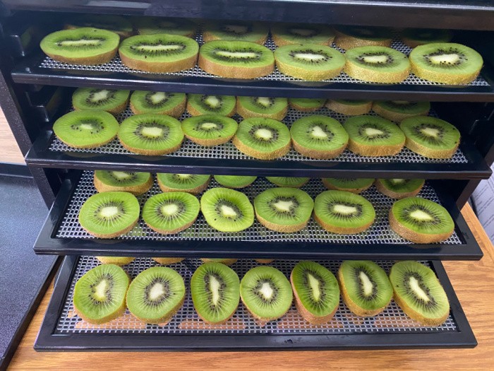 How To Dehydrate Kiwi