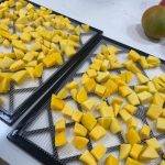 How To Dehydrate Mango