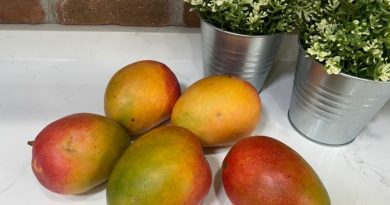 How To Dehydrate Mango
