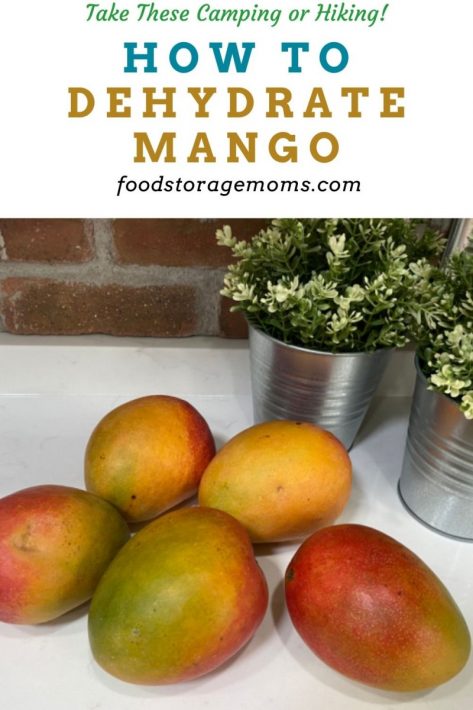 How To Dehydrate Mango