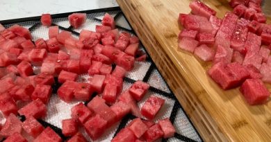 How To Dehydrate Watermelon