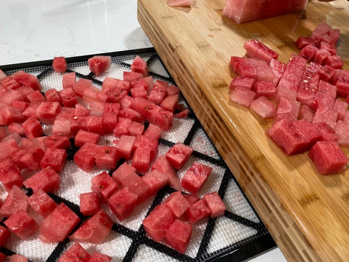 How To Dehydrate Watermelon 