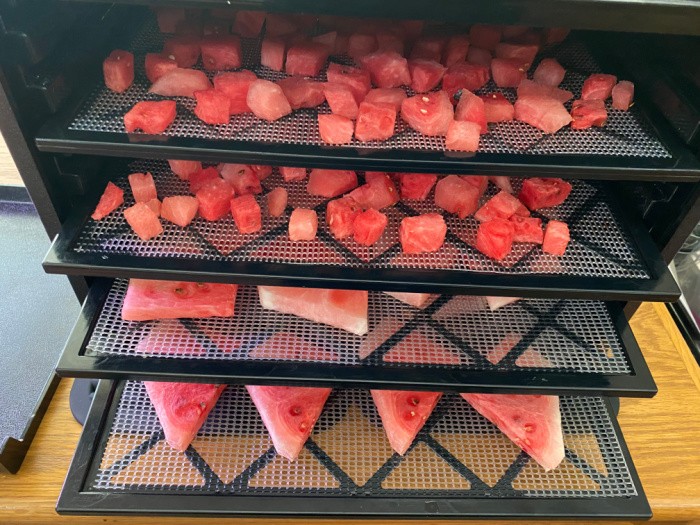 How To Dehydrate Watermelon 