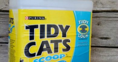 kitty litter