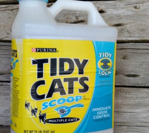 kitty litter