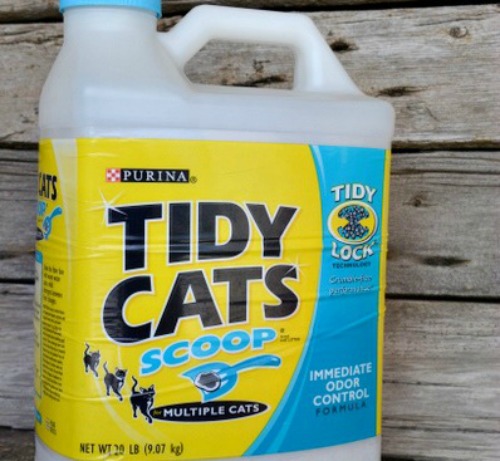 kitty litter