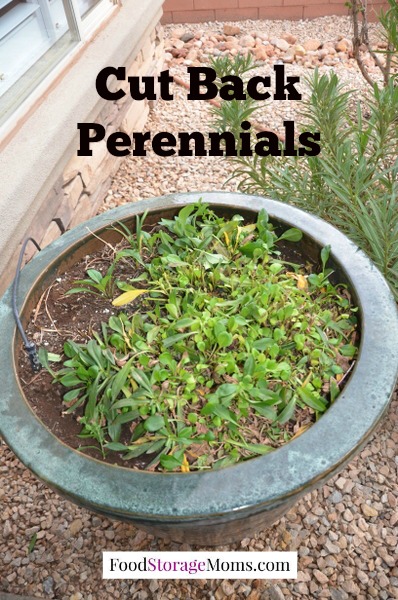 How To Prepare Your Garden so you are ready for planting next Spring by FoodStorageMoms.com