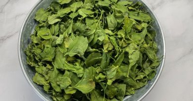 Fully Dehydrated Fresh Spinach