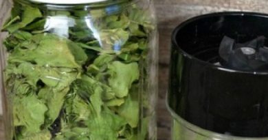 Dehydrating Spinach and Make Spinach Powder