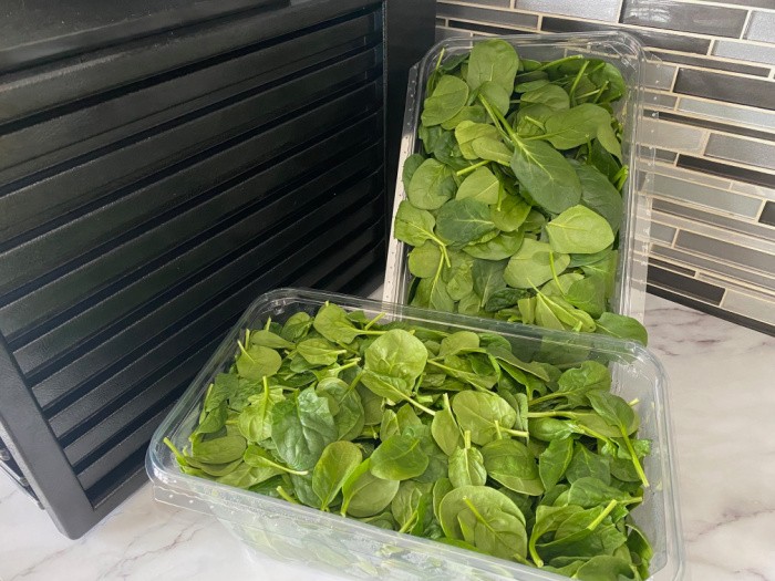 Spinach Being Prepped