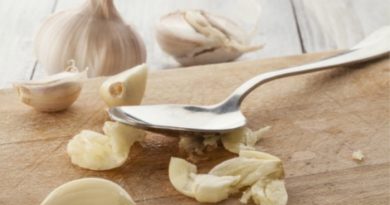 Garlic