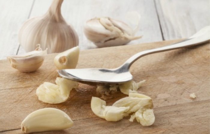 Garlic