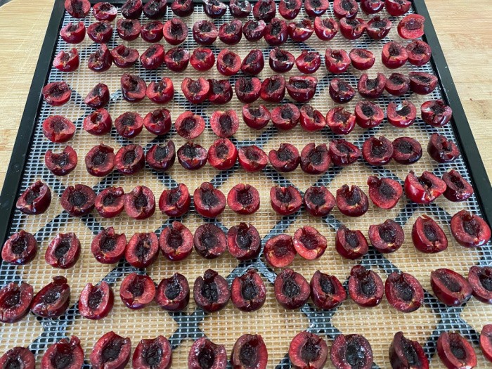 Cherries on the Dehydrator Rack