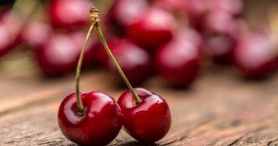 Dehydrate Cherries