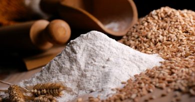 Back To Basics: How To Use Wheat Grinders