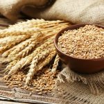 Why You Need To Store Wheat For Survival