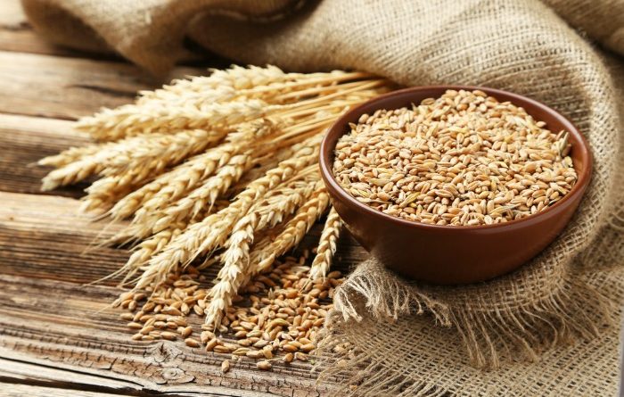 Why You Need To Store Wheat For Survival