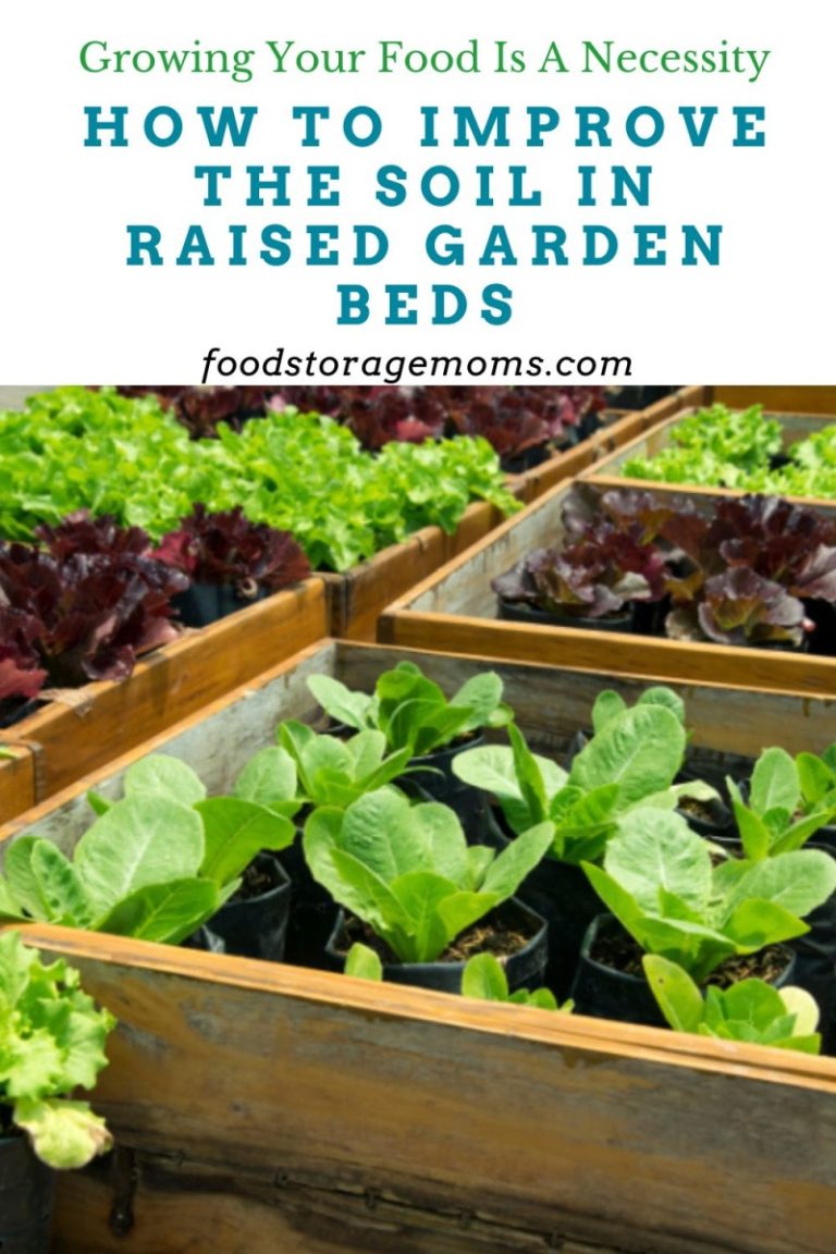 How To Improve The Soil In Raised Garden Beds - Food Storage Moms