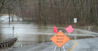 survive a disaster