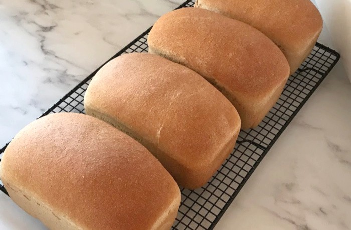 How To Make Whole Wheat Bread