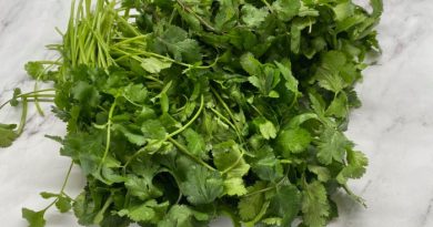 Fresh Cilantro