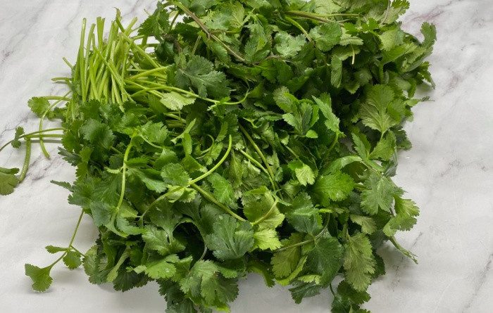 Fresh Cilantro