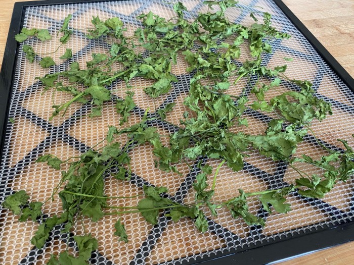 One Tray of Dehydrated Cilantro