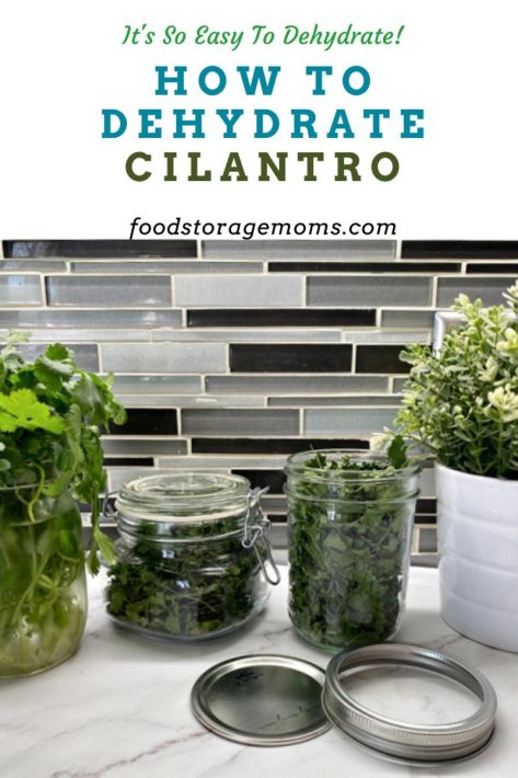 How To Dehydrate Cilantro