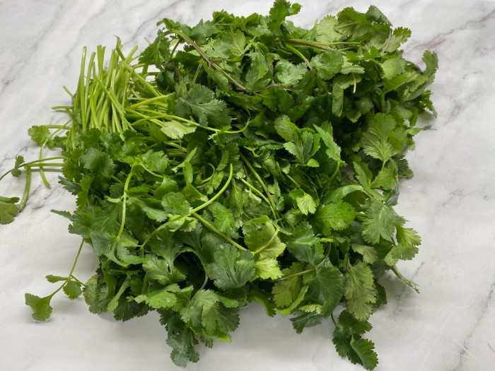 How To Dehydrate Cilantro