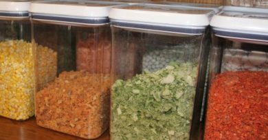 organize food storage