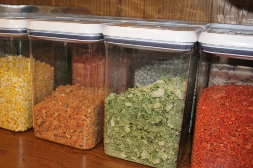 food organization containers with dried food in them for storage