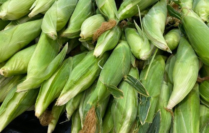 How To Freeze Corn On The Cob