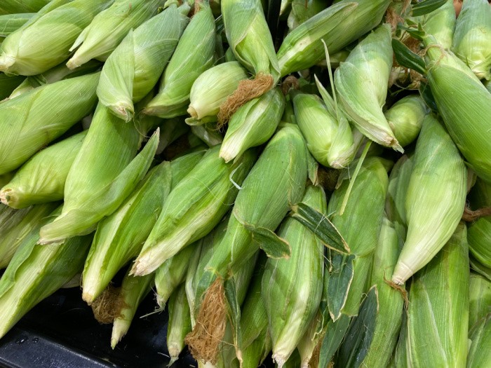 How To Freeze Corn On The Cob