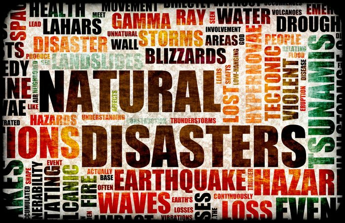 What You Need To Survive When A Disaster Strikes