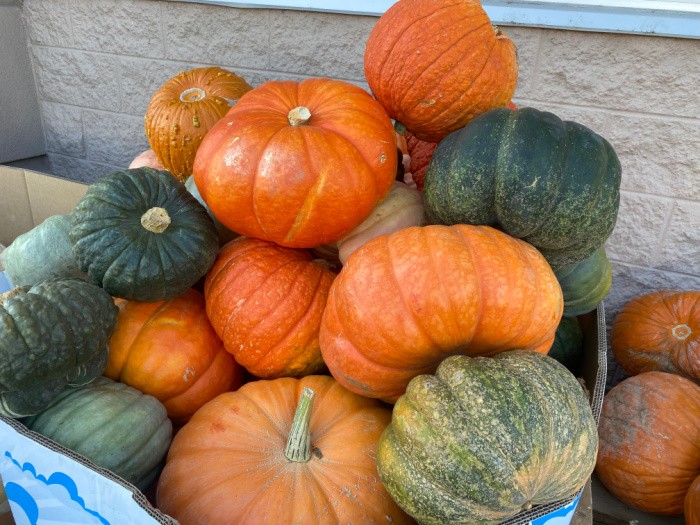 How To Choose The Right Pumpkin