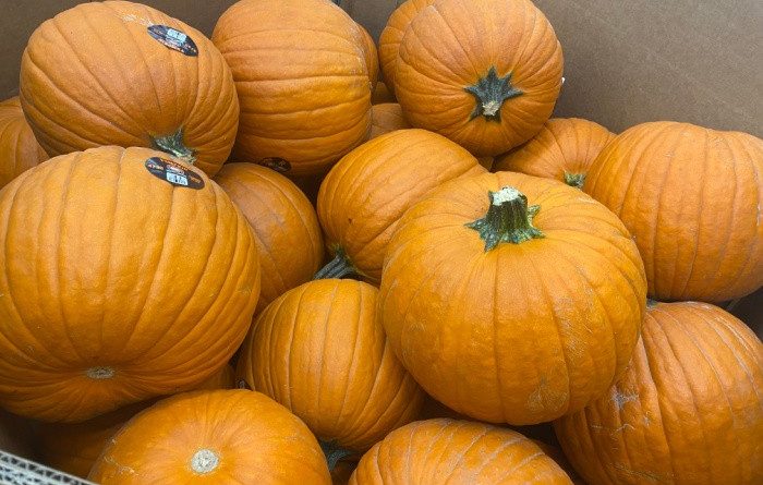 How To Choose The Right Pumpkin