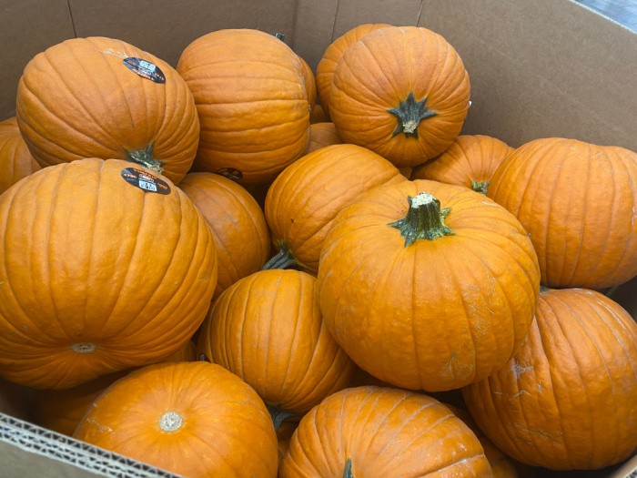 How To Choose The Right Pumpkin