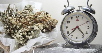 Organizing Your Home