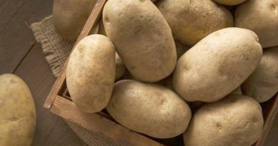 Potato