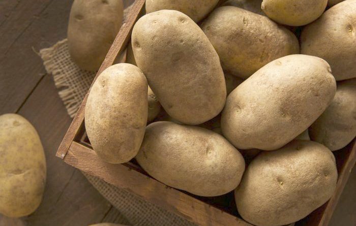 Potato