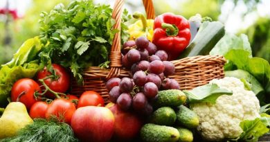 best organic food storage