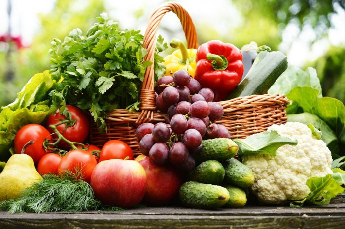 best organic food storage