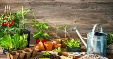 start your garden